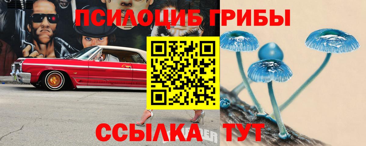 Югорск  Псилоцибиновые грибы Psilocybe  Галлюциногенные грибы Magic Shrooms  Вход с VPN 
