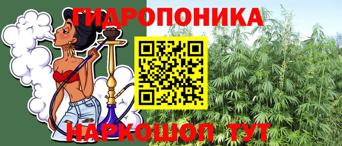 Конопля OG Kush Югорск